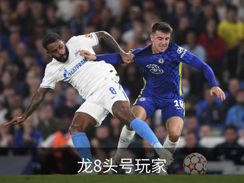 龙8头号玩家介绍